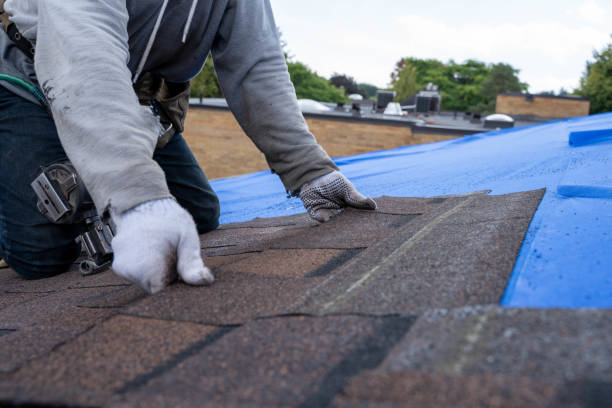 Quick and Trustworthy Emergency Roof Repair Services in Port Allen, LA